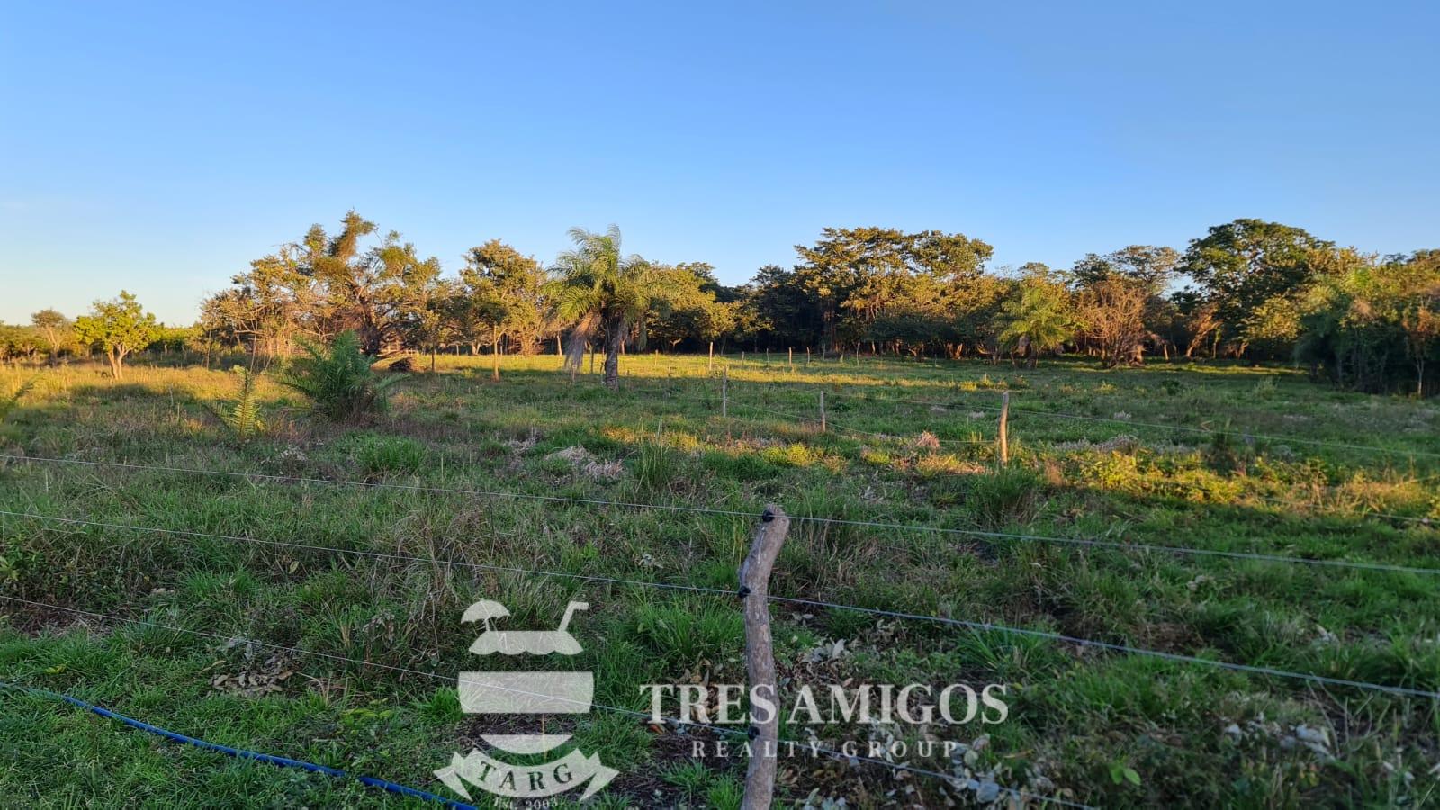 MOUNTAIN VIEW ECOFARM Playas del Coco Properties Costa Rica Real